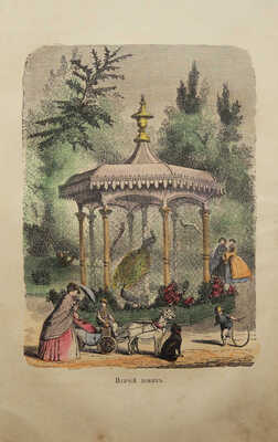 Вагнер Г. Путешествия по дому и двору. [СПб.]: Издание М. Вольфа, [1863].